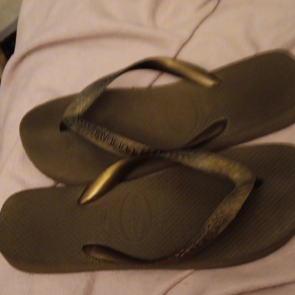 Havaianas Dark Brown Flip Flops
